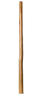 CrookedStixz Didgeridoo (AH401)
